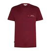 T-shirt pour homme Icebreaker Merino 150 Tech Lite SS T Sing Li Cmp Port