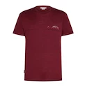 T-shirt pour homme Icebreaker Merino 150 Tech Lite SS T Sing Li Cmp Port