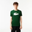 T-shirt pour homme Lacoste  Big Logo Core Performance T-Shirt Green/White XL