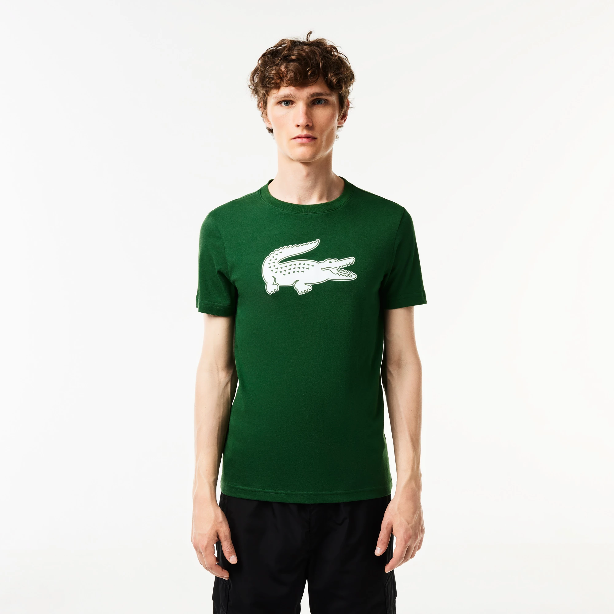 Lacoste homme tee shirt best sale