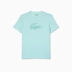 T-shirt pour homme Lacoste  Core Performance Light Green