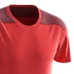 T-shirt pour homme Salomon  Essential Colorblock Fiery Red