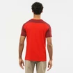 T-shirt pour homme Salomon  Essential Colorblock Fiery Red