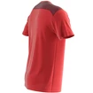 T-shirt pour homme Salomon  Essential Colorblock Fiery Red