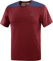 T-shirt pour homme Salomon  Outline SS Tee Cabernet XL