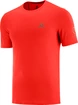 T-shirt pour homme Salomon  XA Trail Tee M Goji Berry