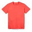 T-shirt pour homme Smartwool  Merino 150 Plant-Based Dye Earth Red Wash XL