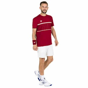 T-shirt pour homme Tecnifibre  Club Tech Tee Cardinal