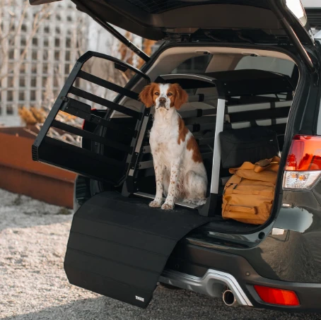 Cages de transport pour chiens Thule