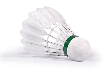 Volants de badminton Victor  Carbonsonic (6 Pack)